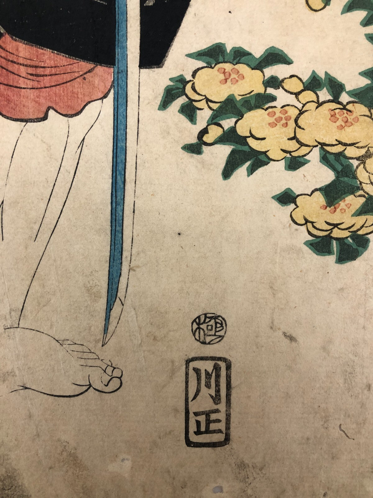 Image #12