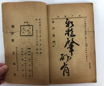Image #10