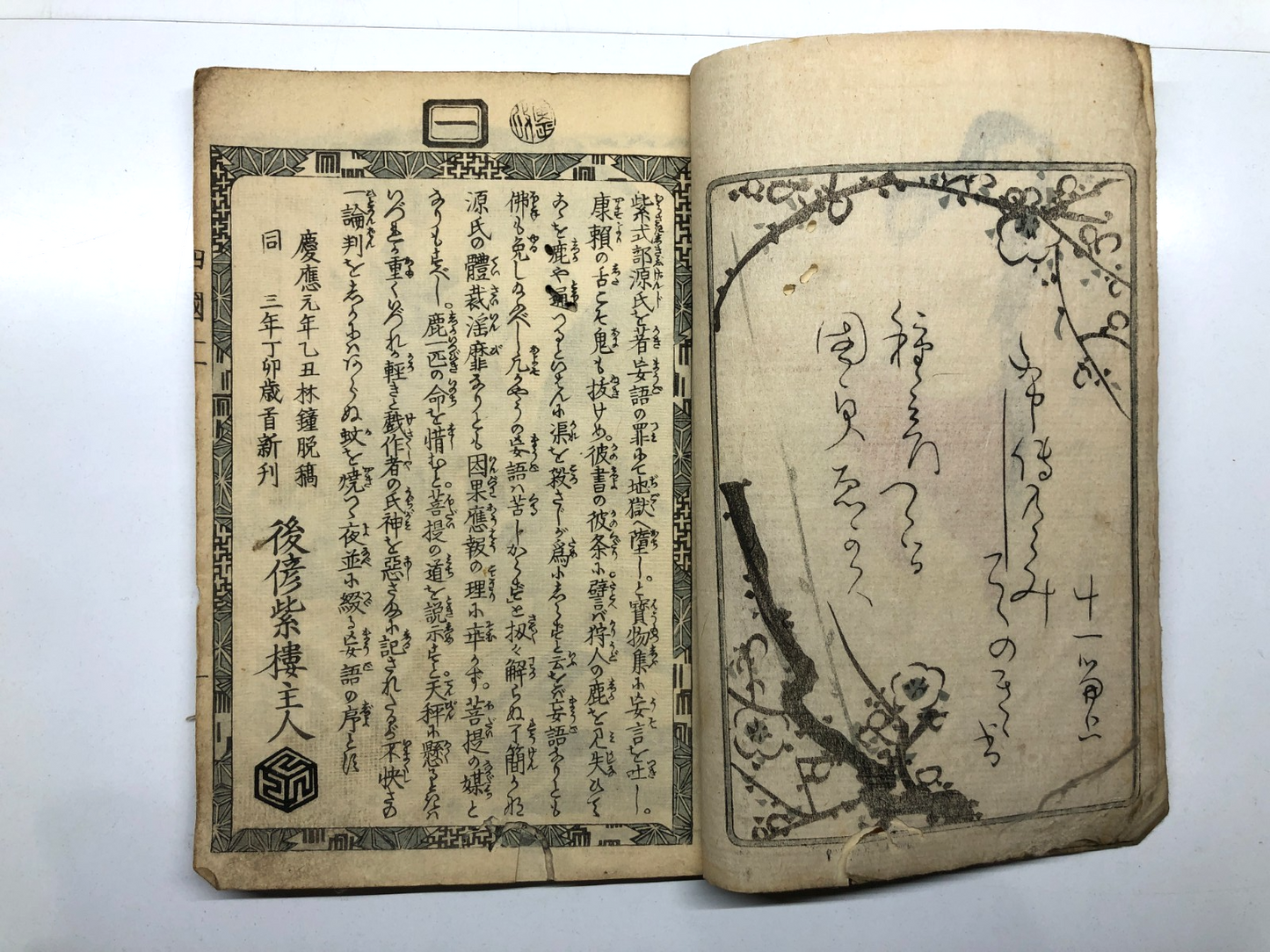 Image #7