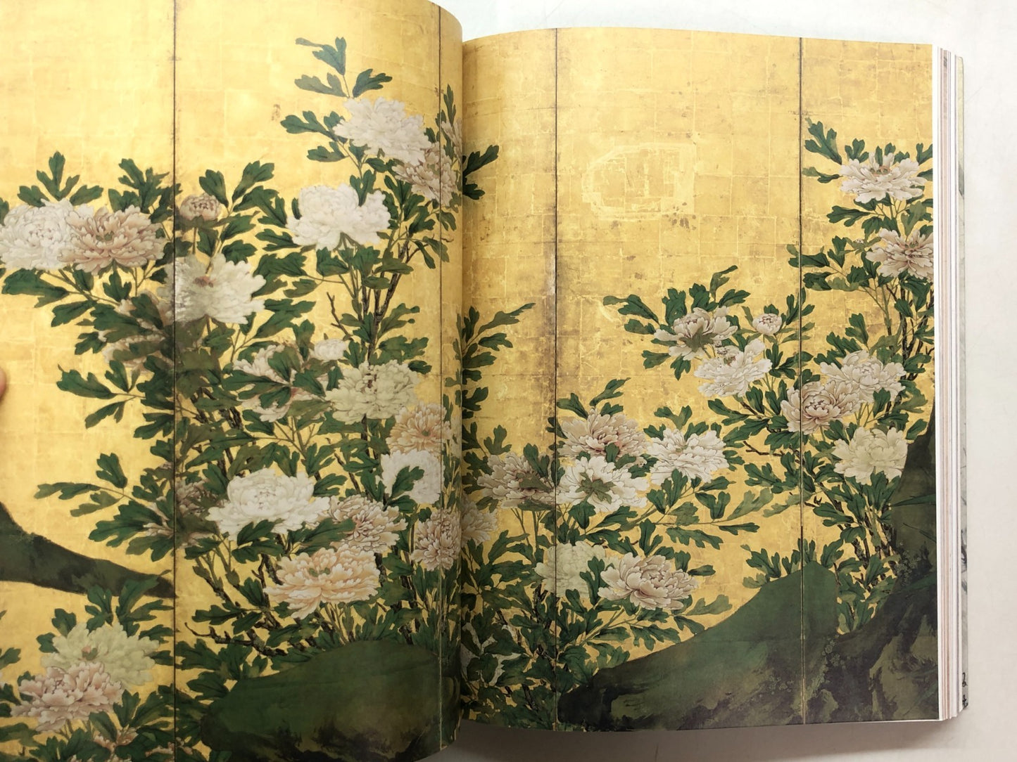 Image #6
