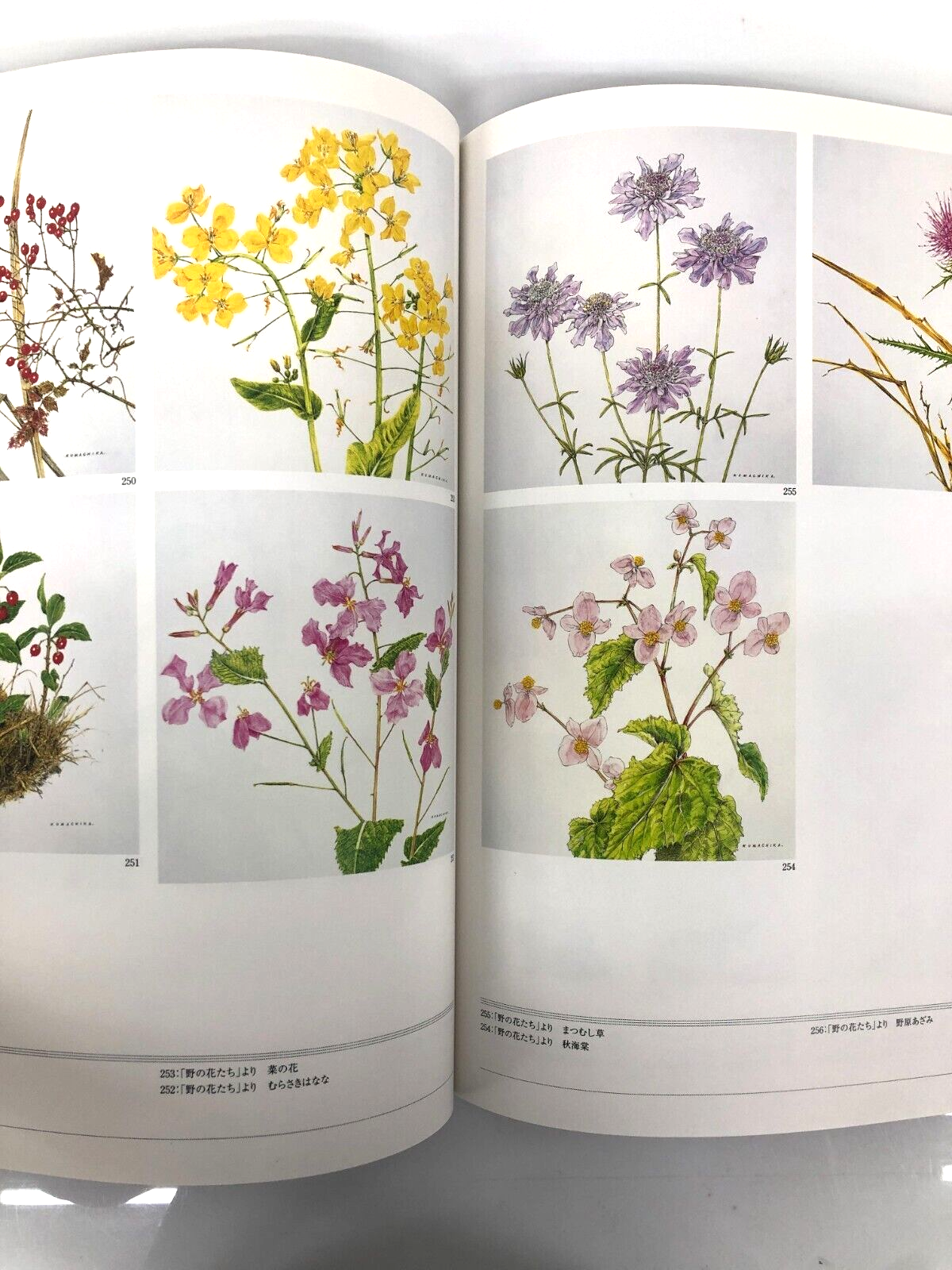 Image #5