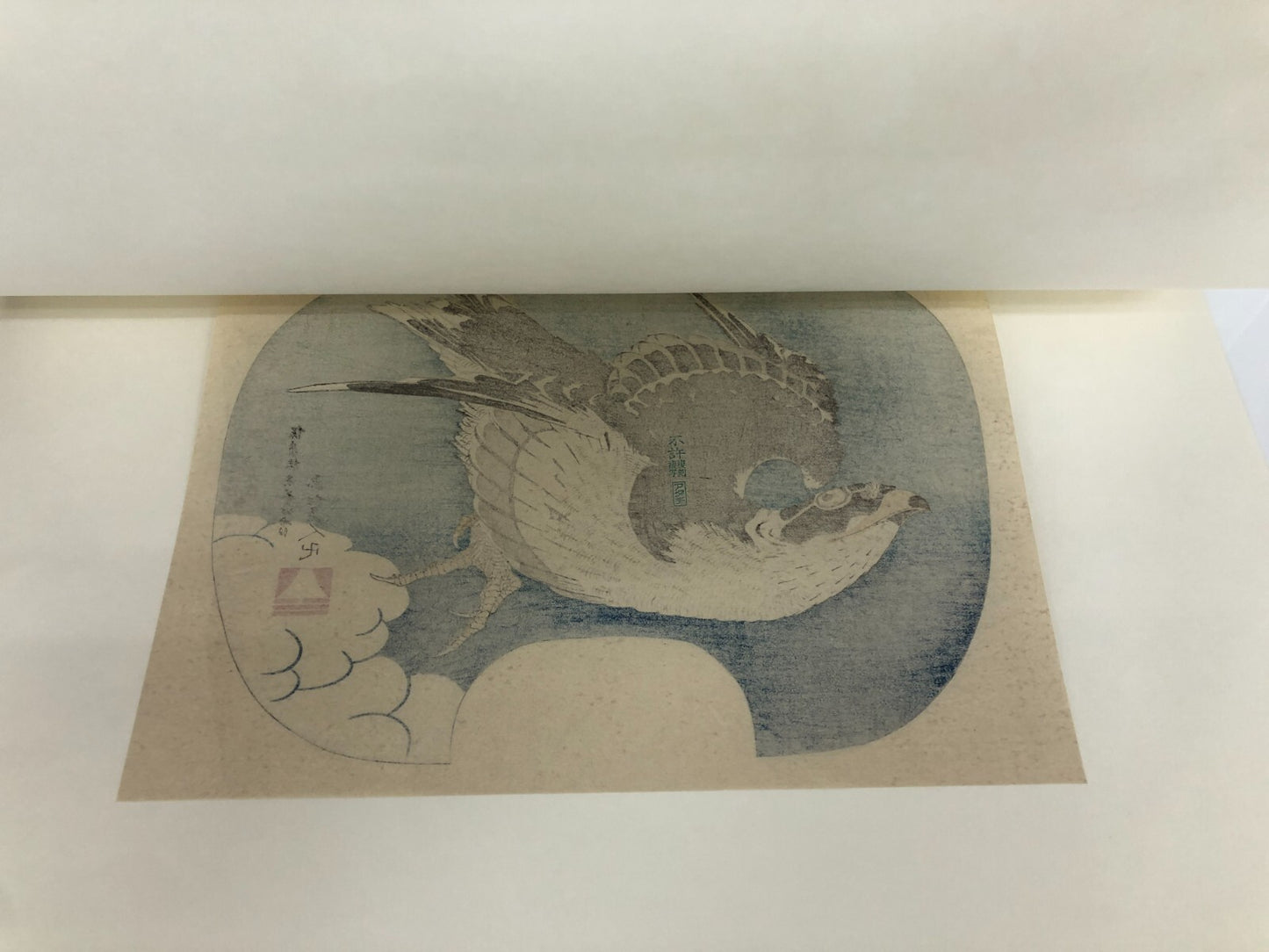 Image #6