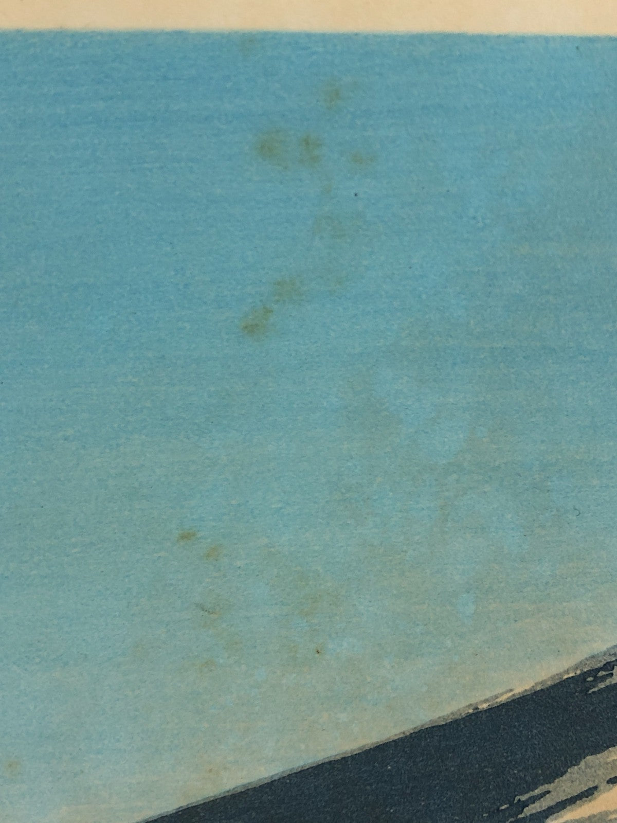 Image #12
