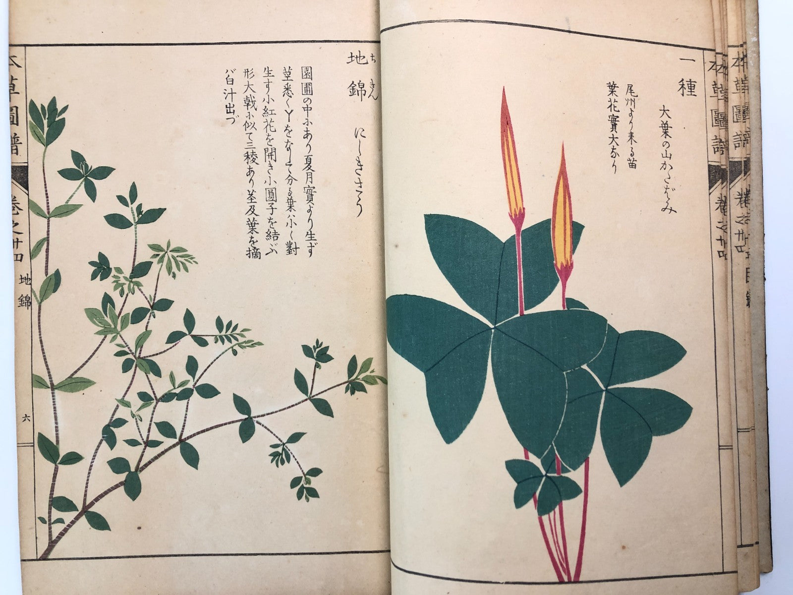 Image #13