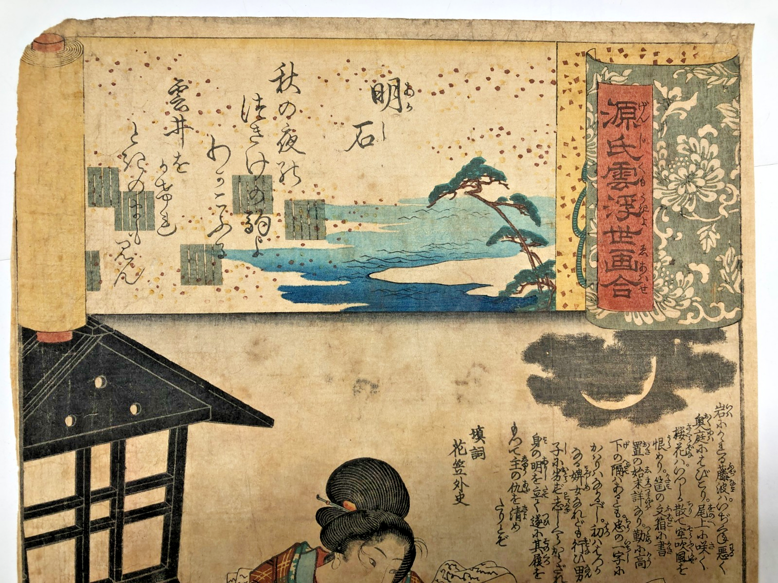 Image #7