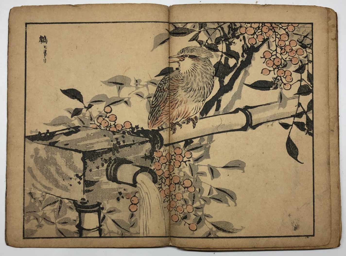 Image #17
