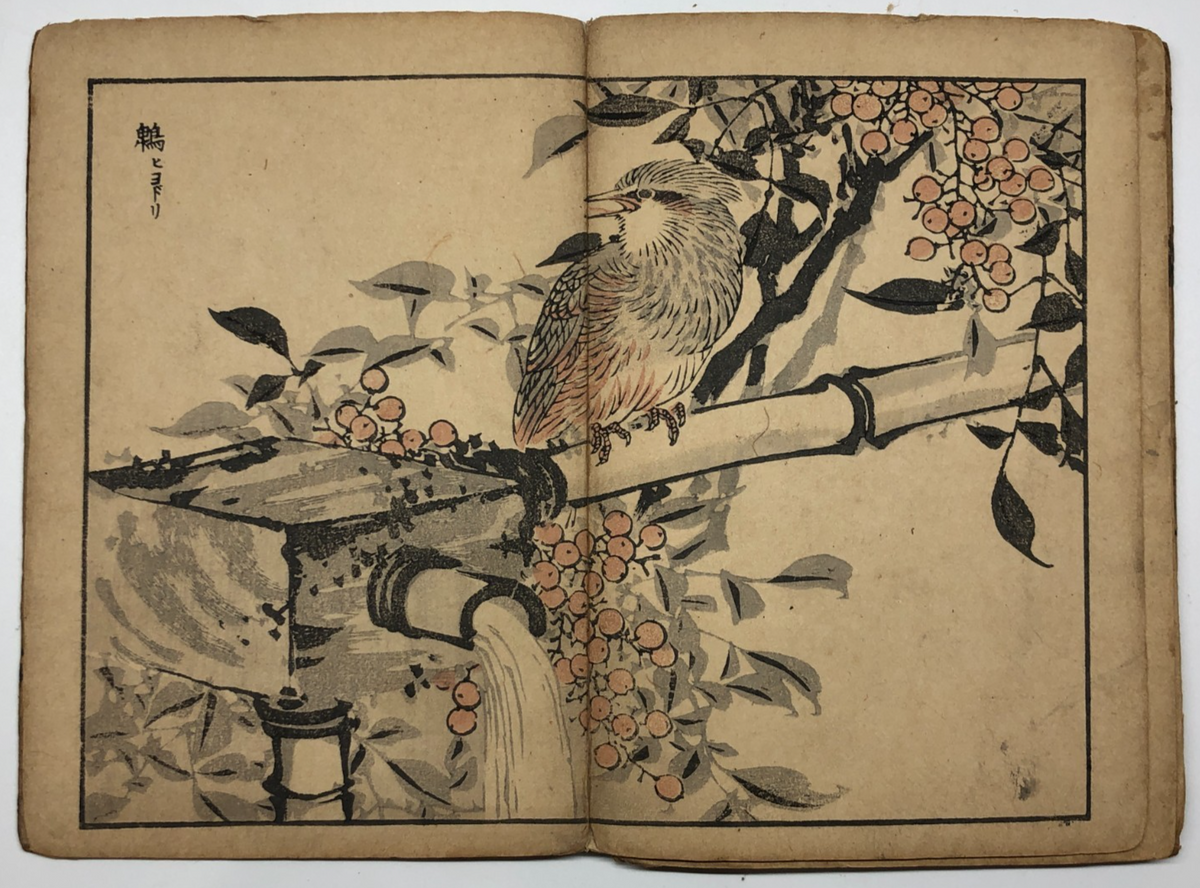 Image #17