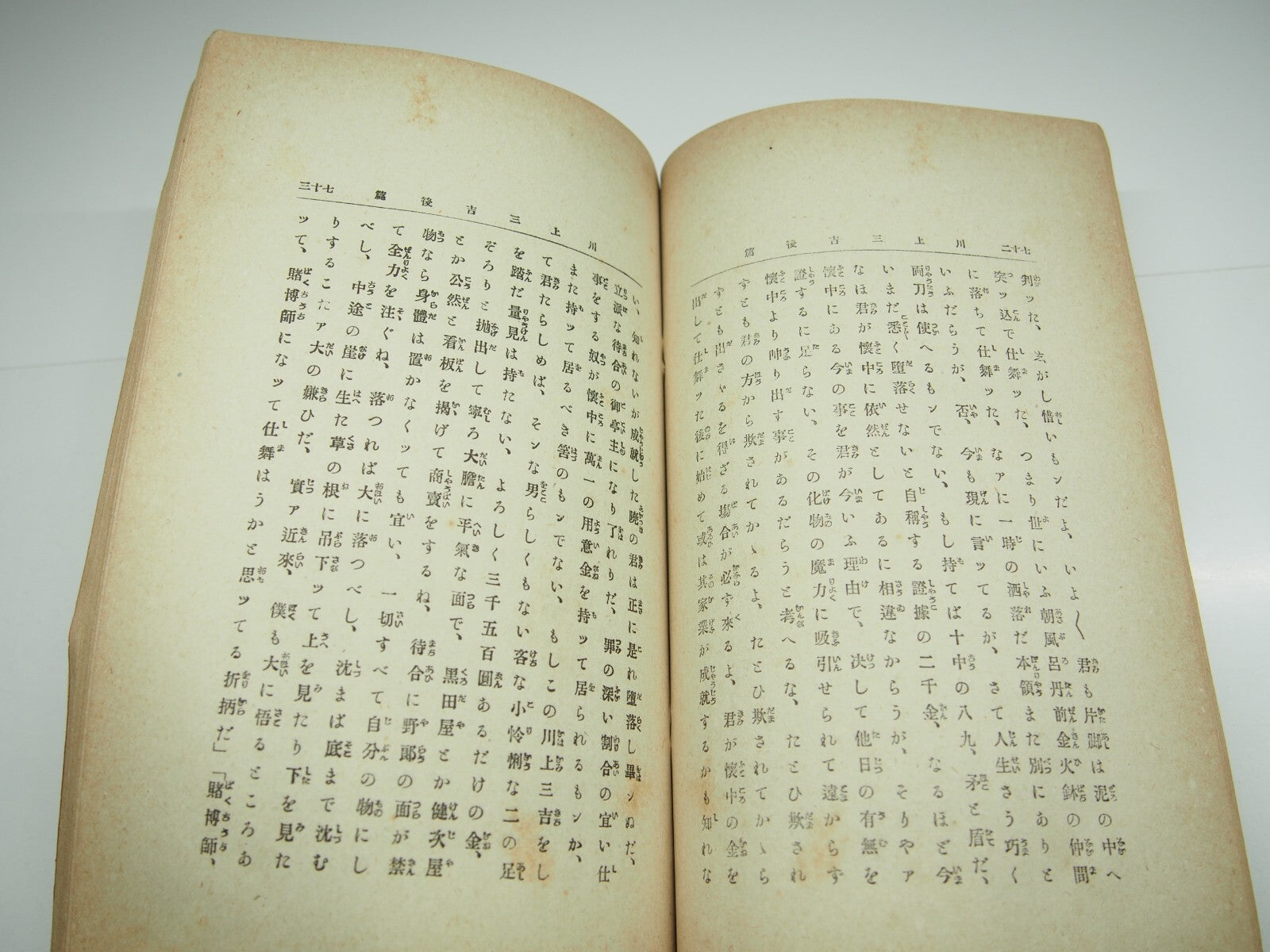 Image #12