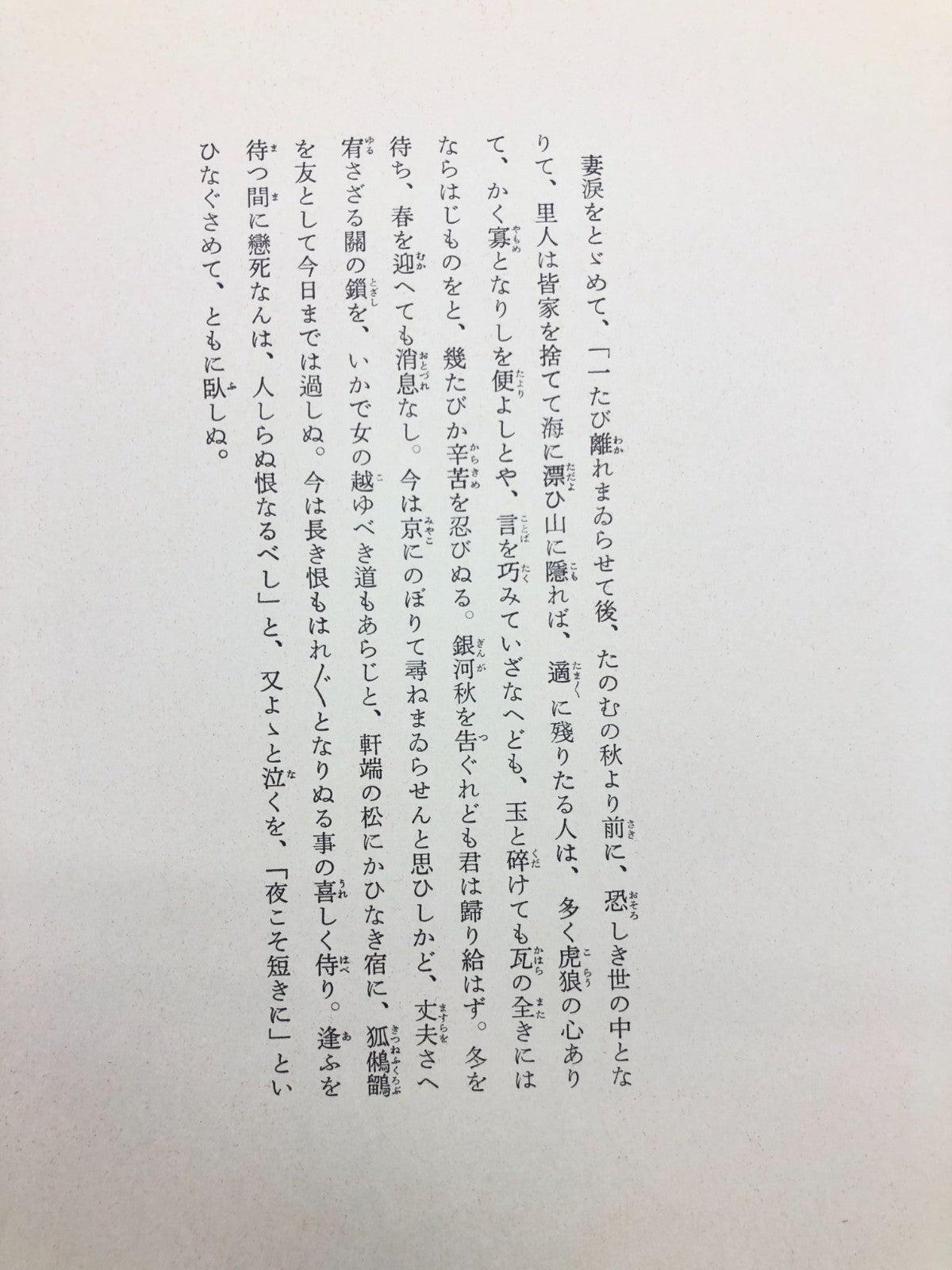 Image #15