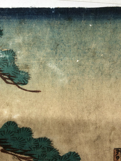 Image #12