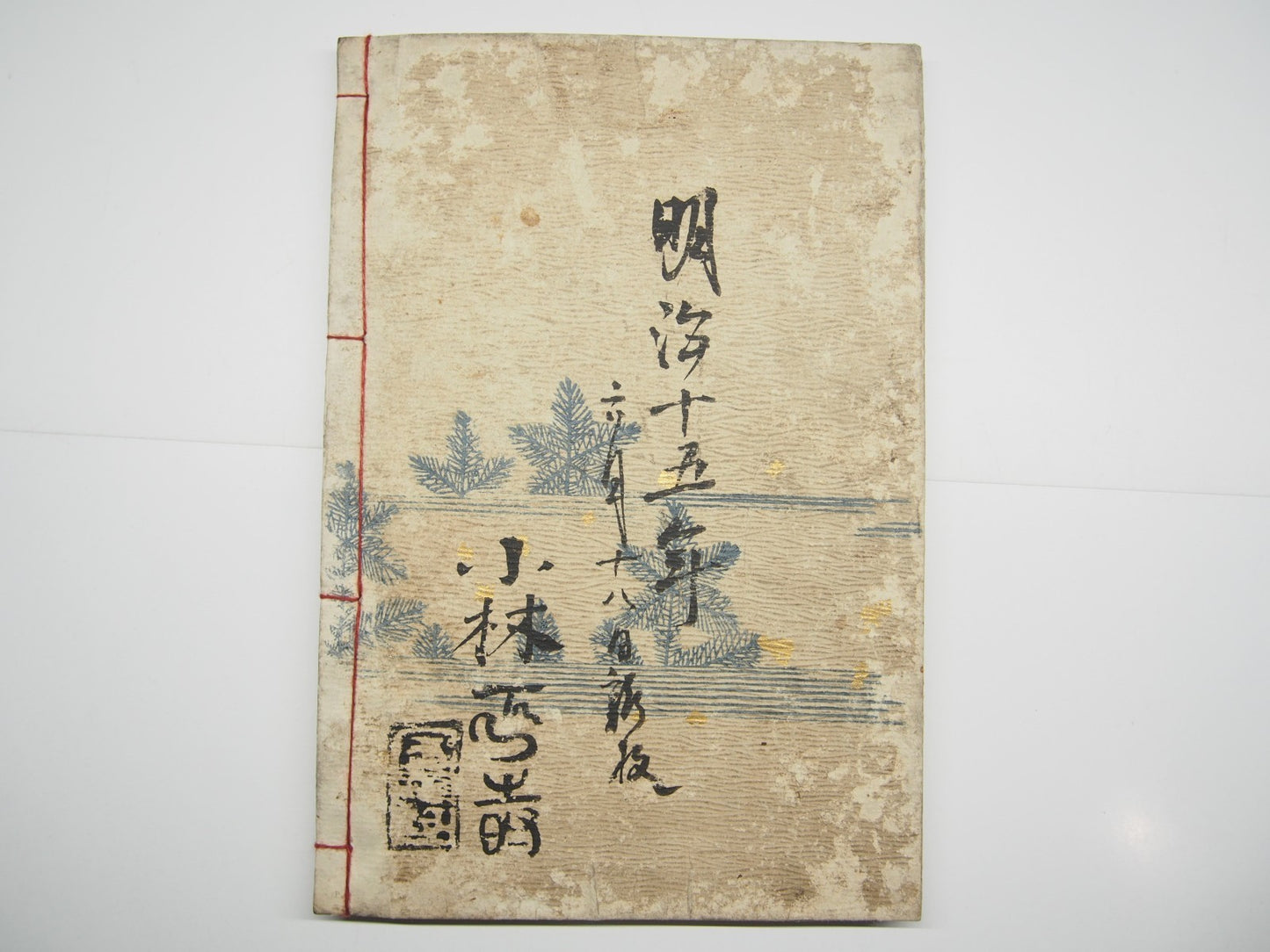 Image #5