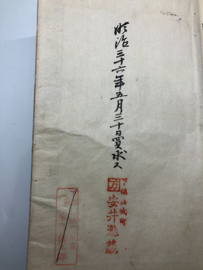 Image #11
