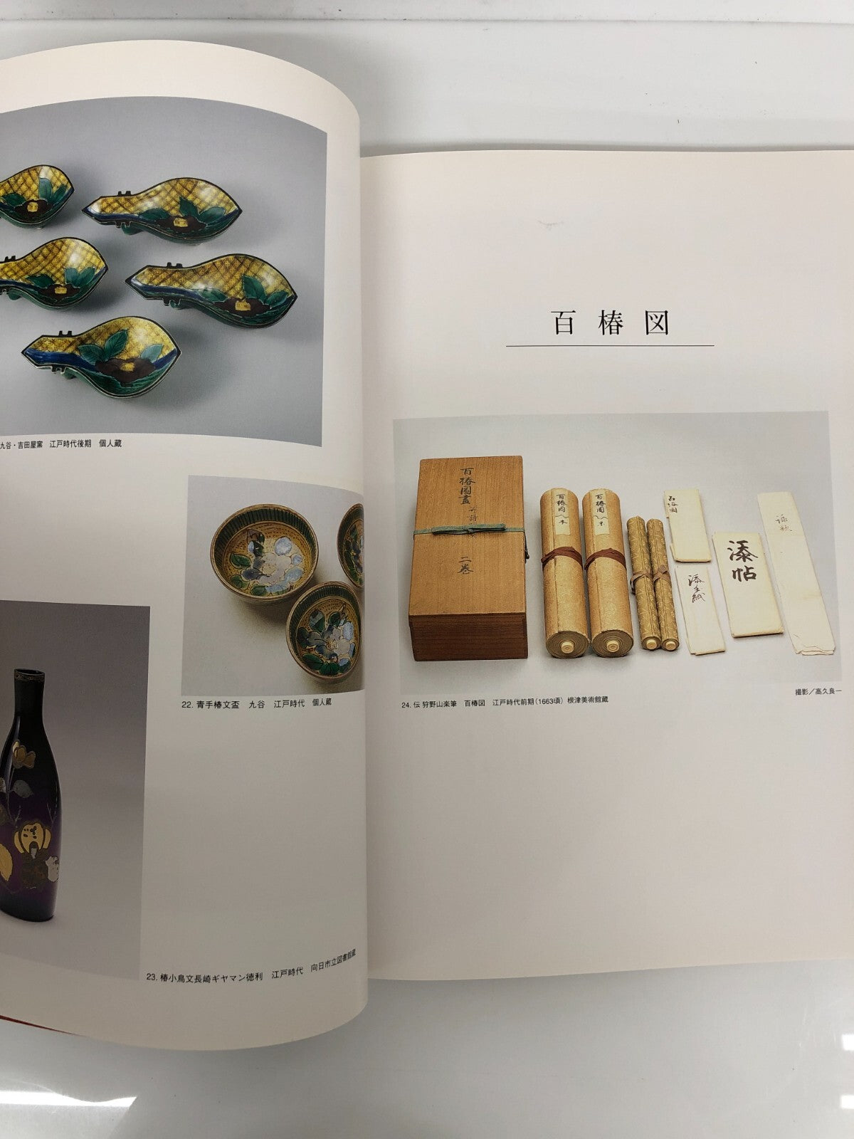 Image #3