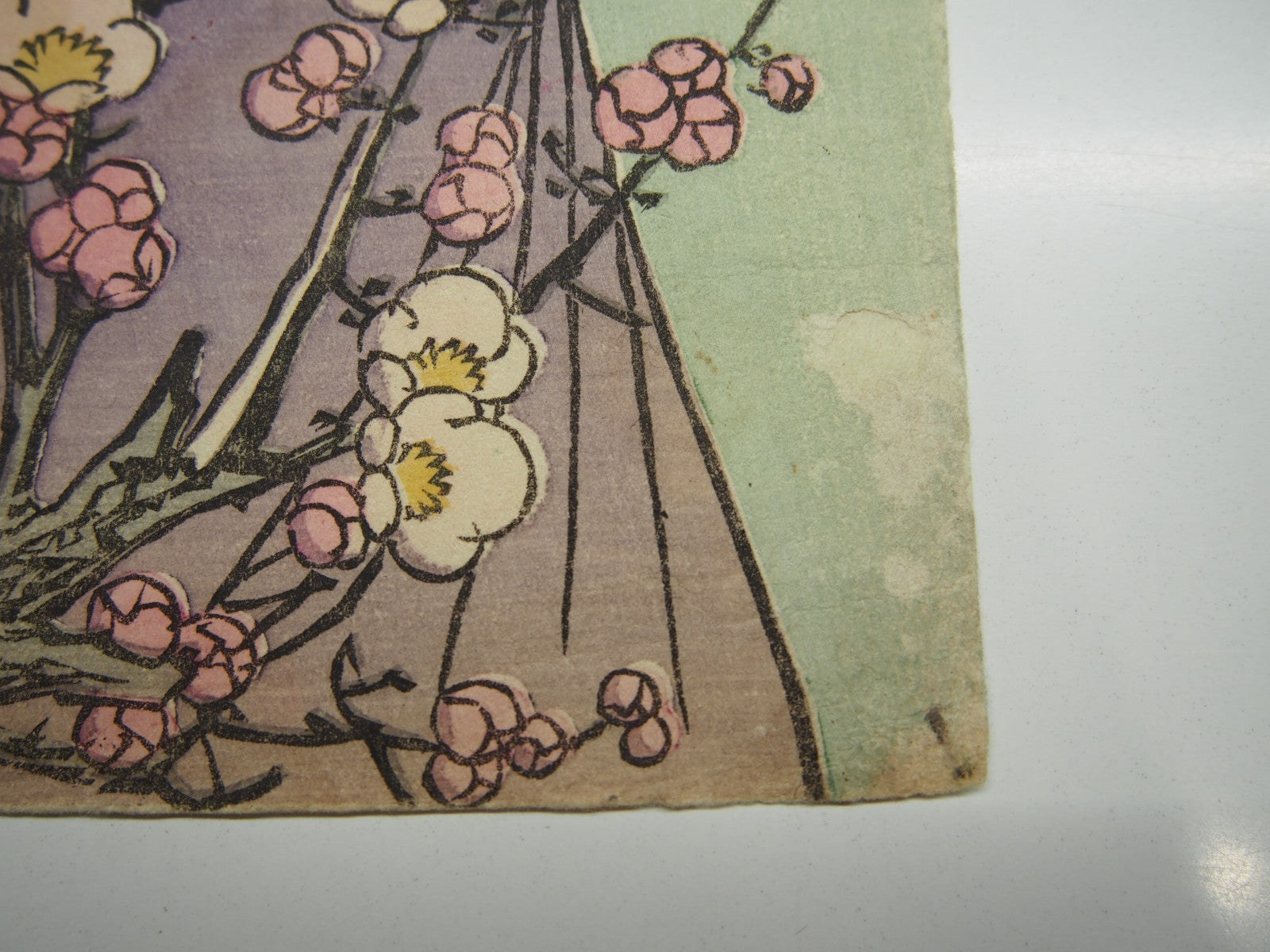 Image #9