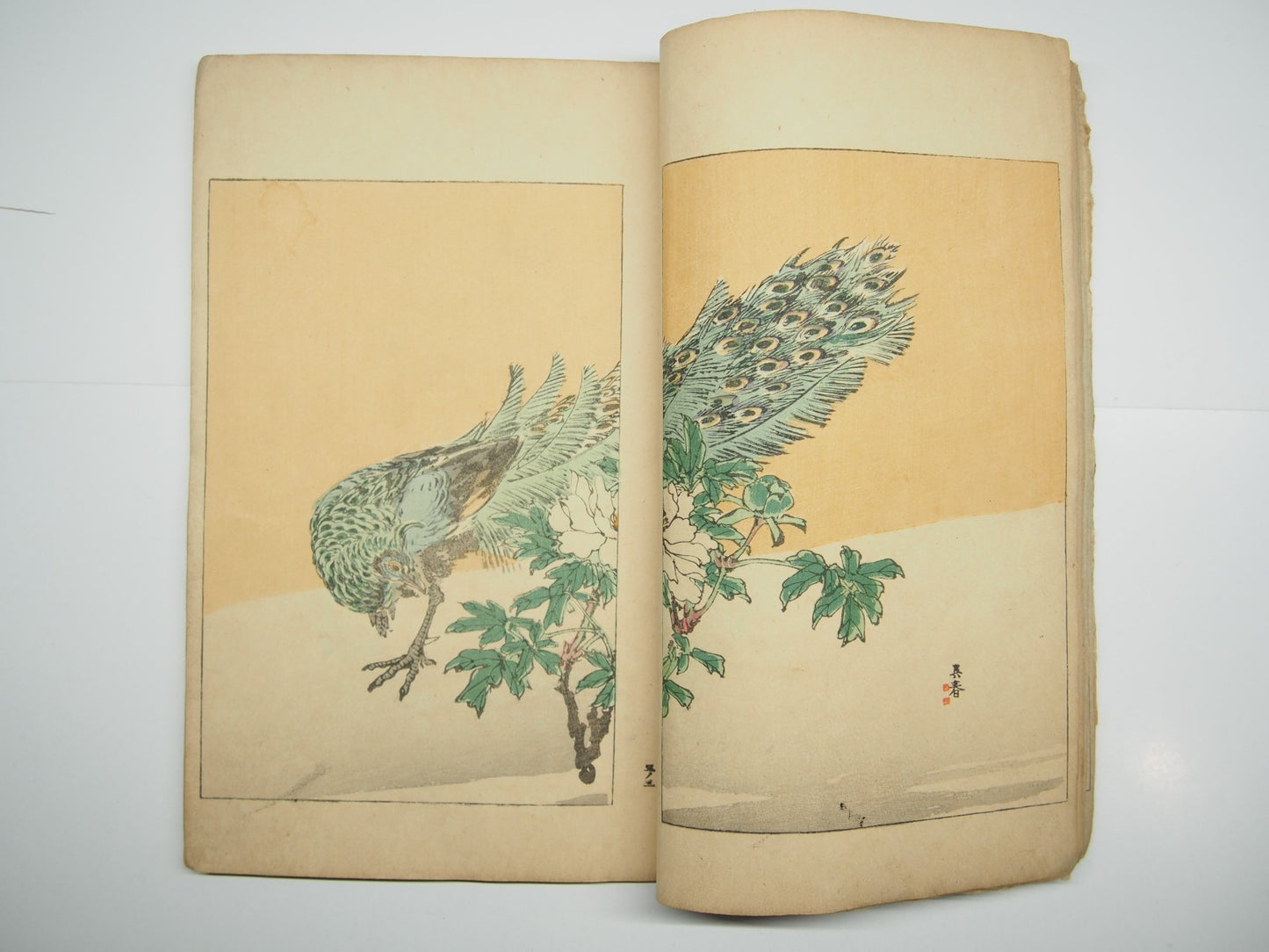 Image #8