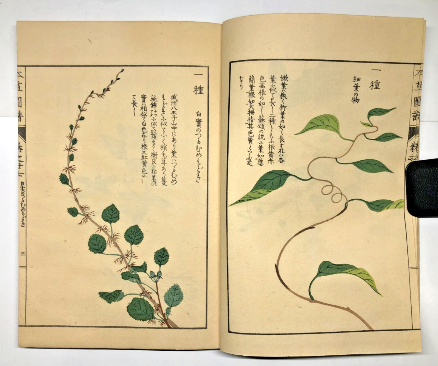Image #19
