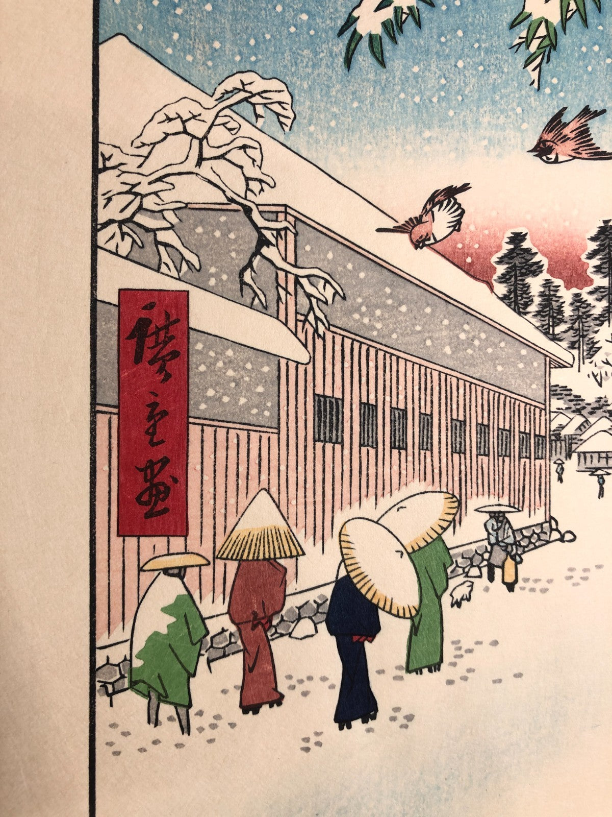 Image #6