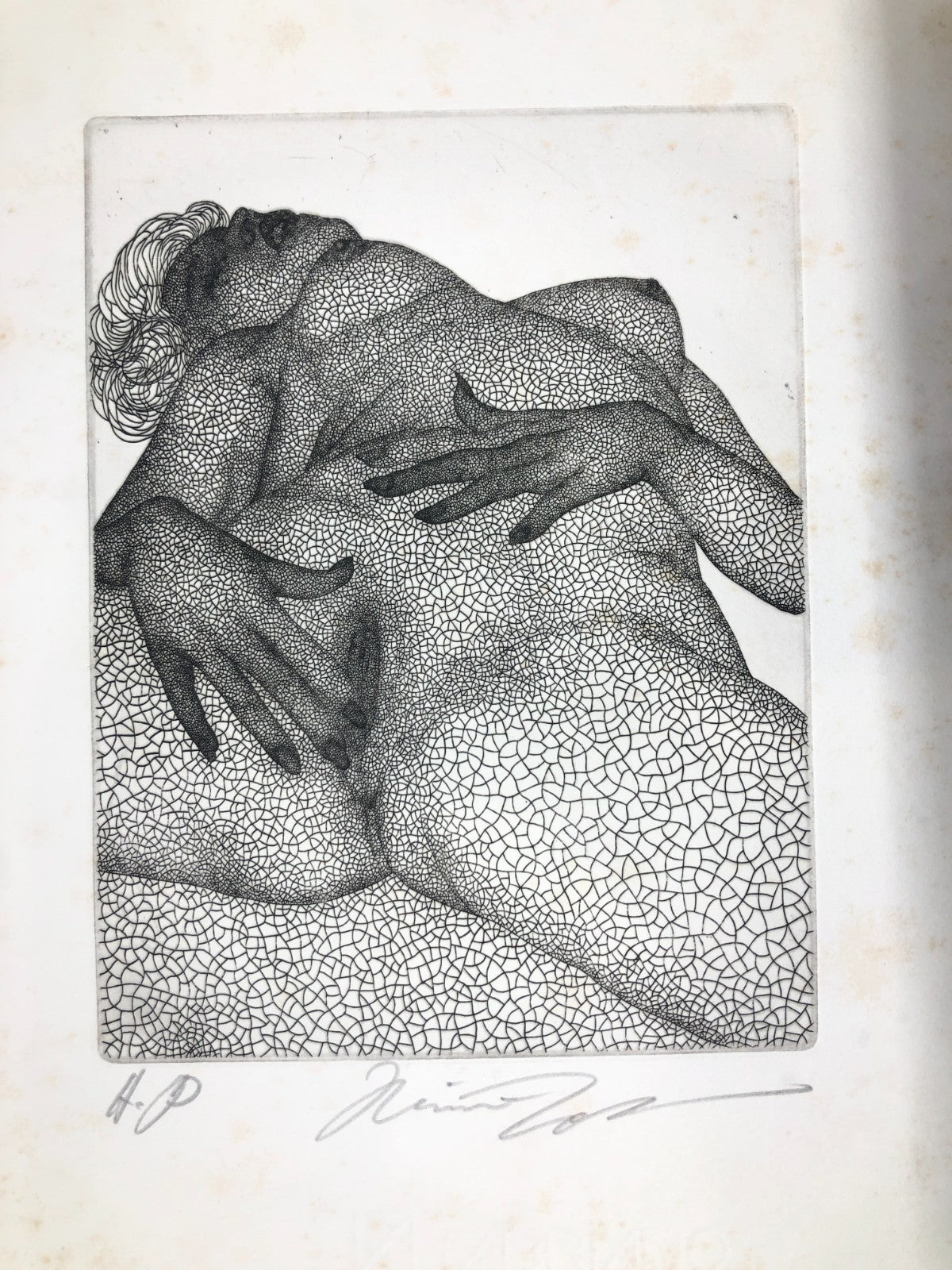 Image #13