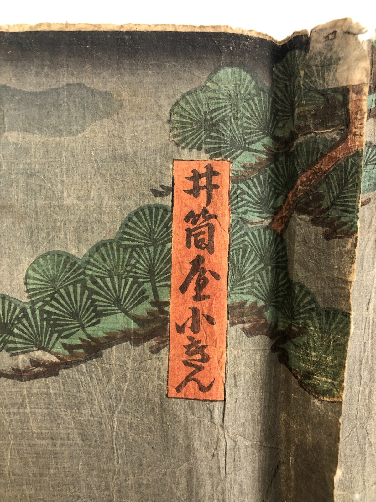 Image #14