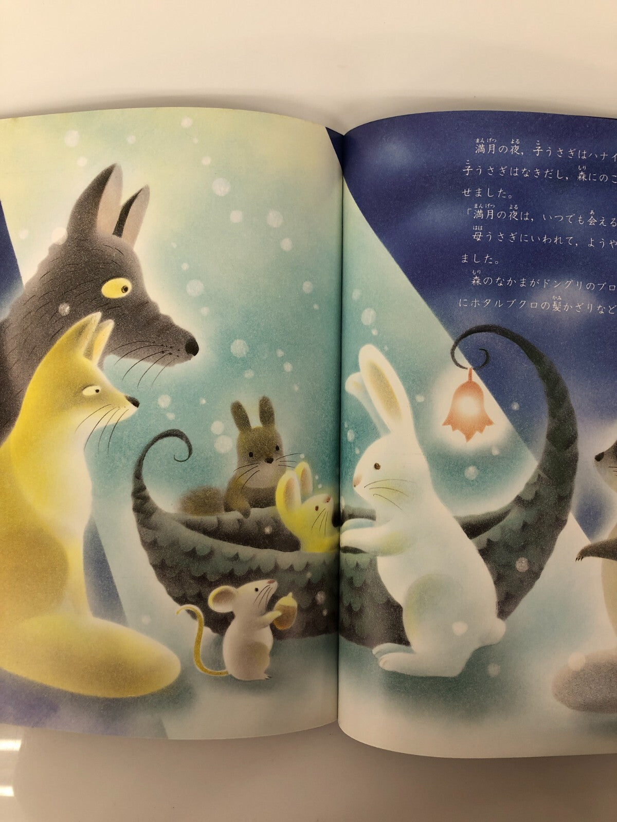 Image #5