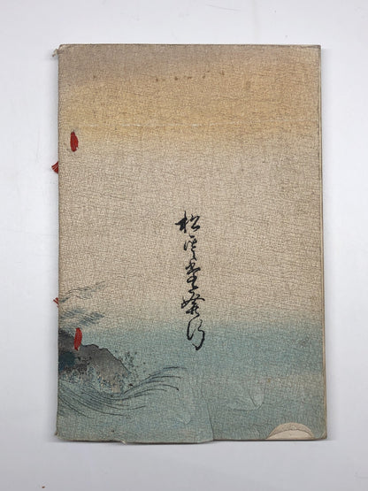 Image #13