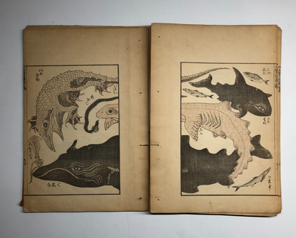 Image #20