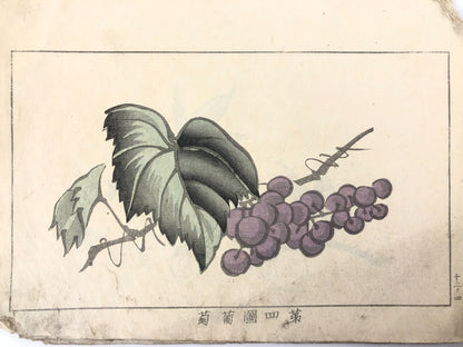 Image #15