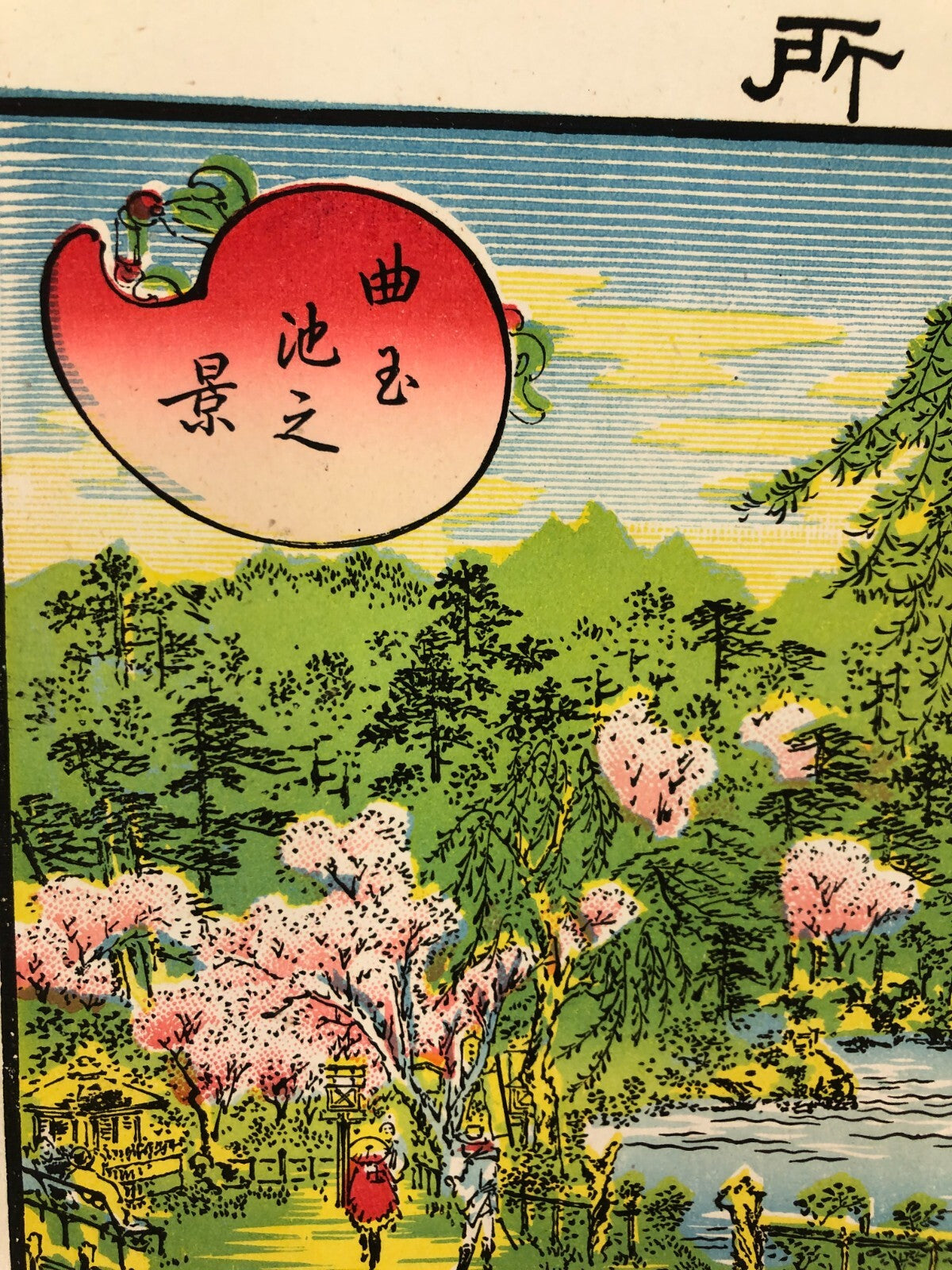 Image #14