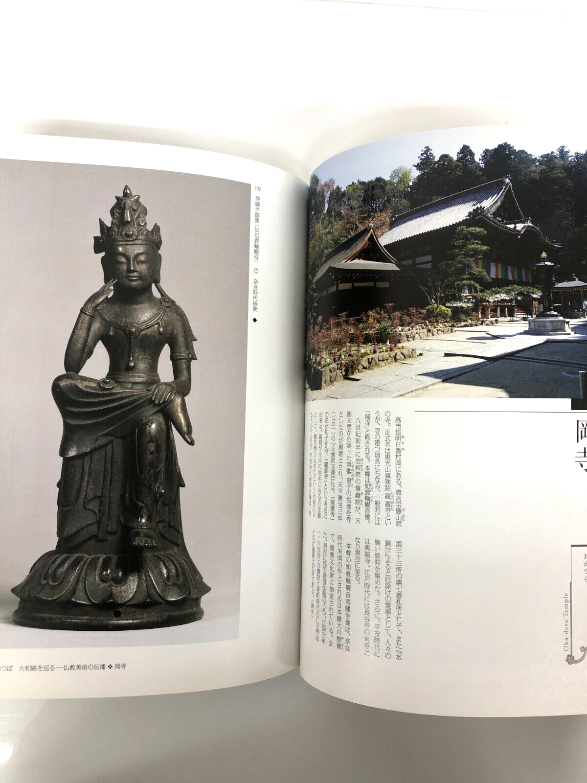 Image #5