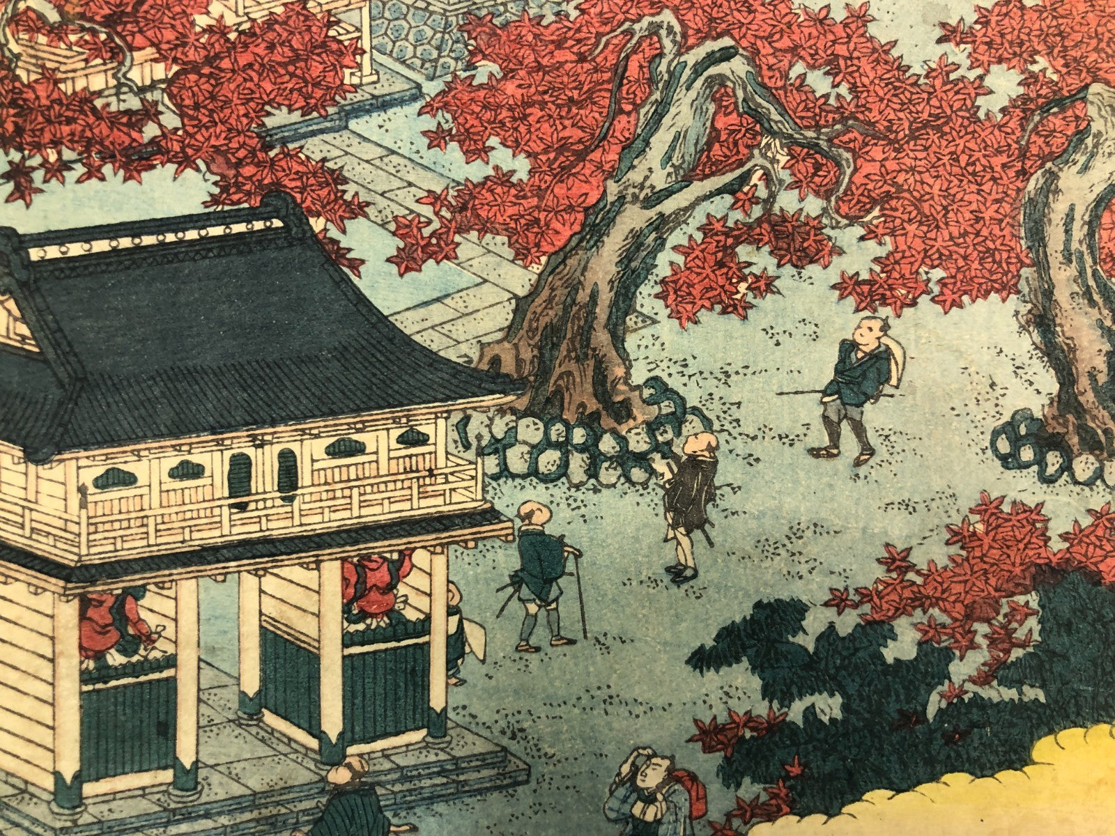 Image #7