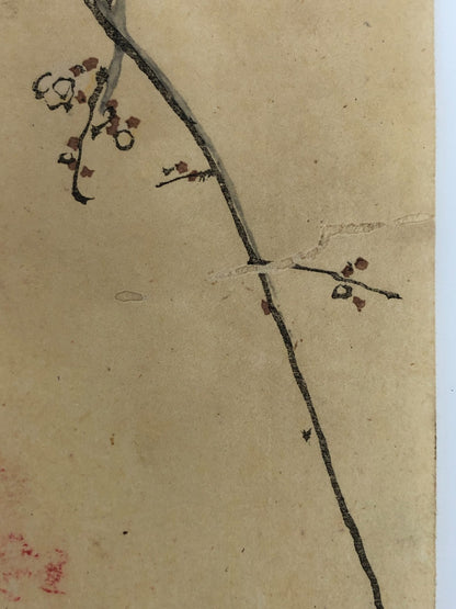Image #10