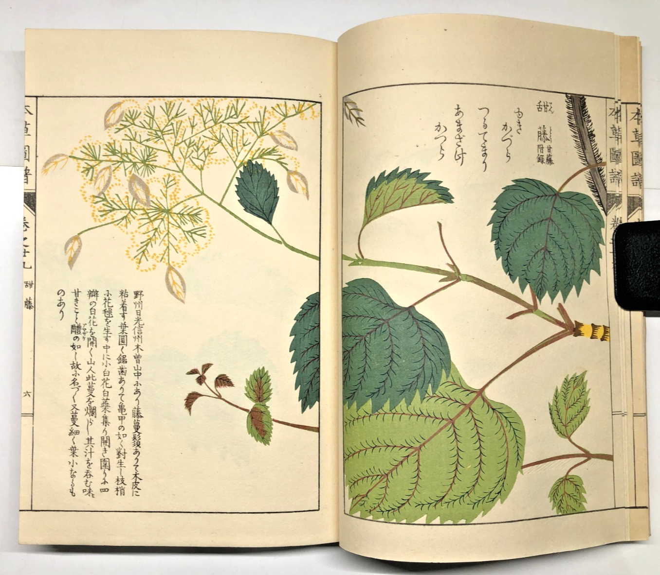 Image #10