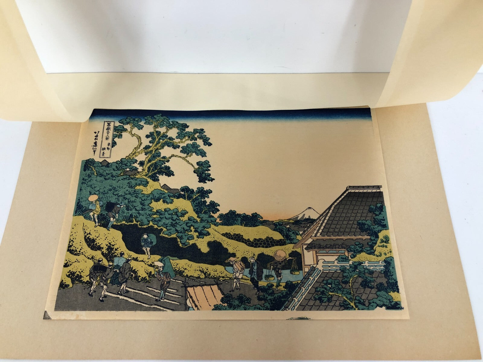 Image #2
