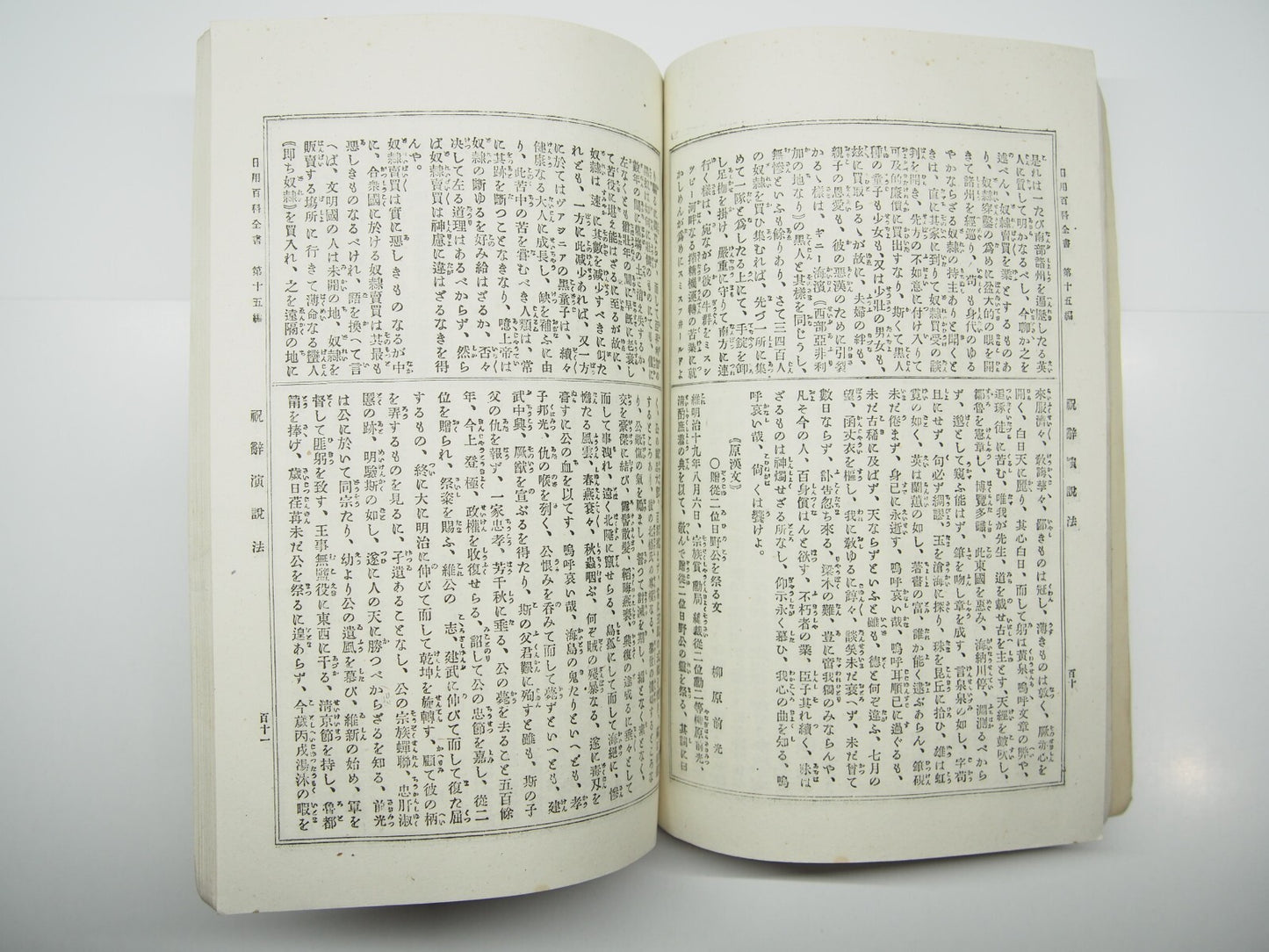 Image #12