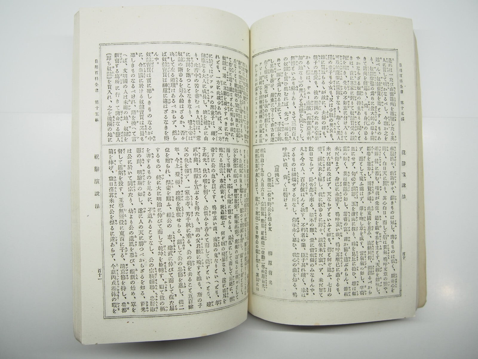 Image #12
