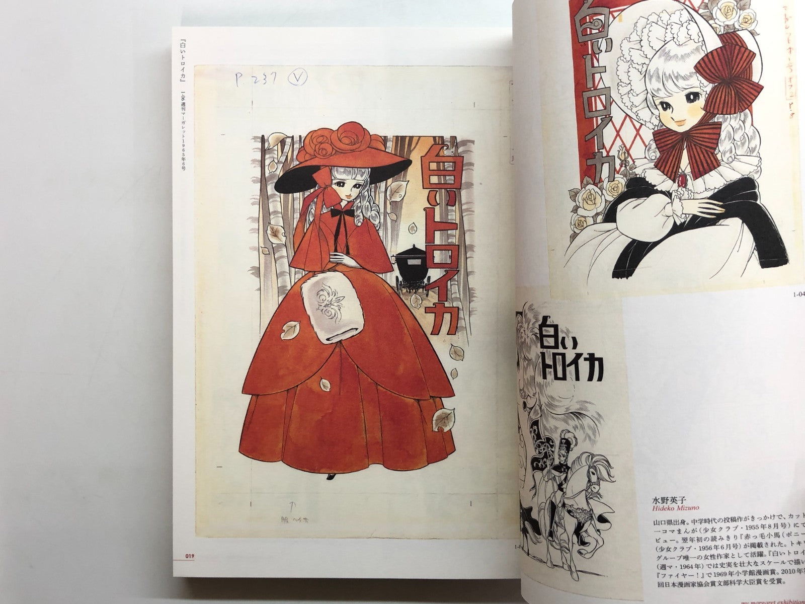 Image #5