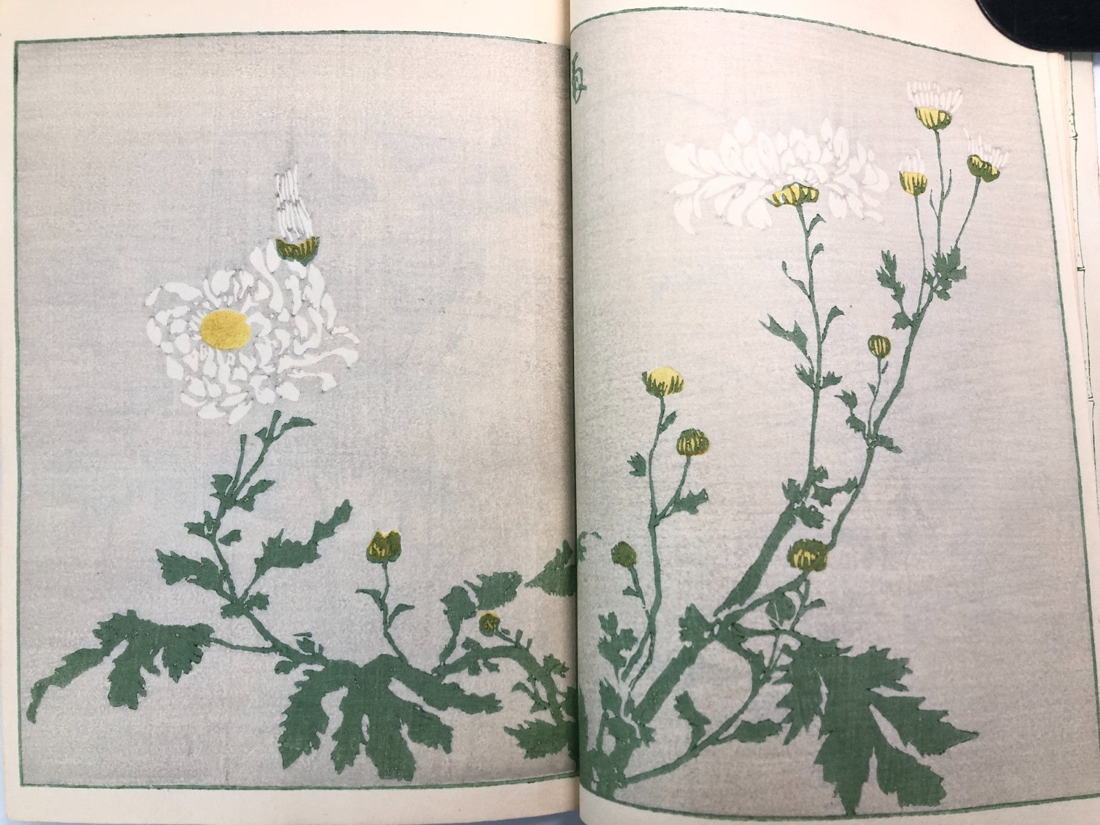 Image #18