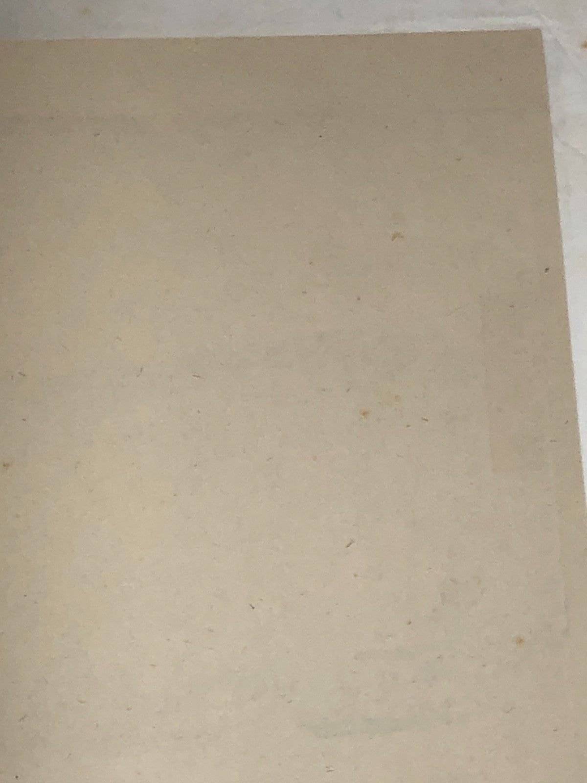 Image #12