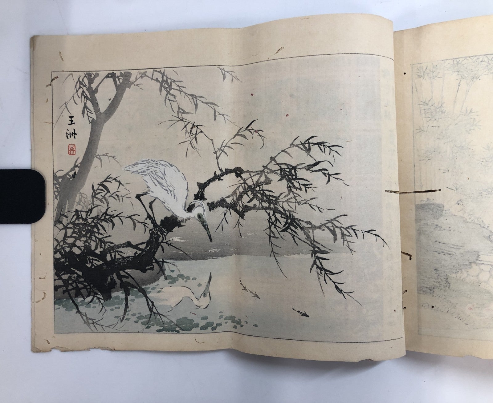 Image #12