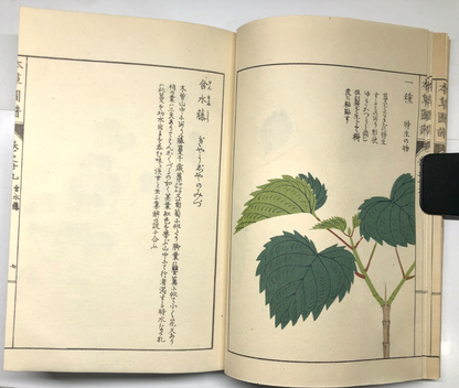 Image #11