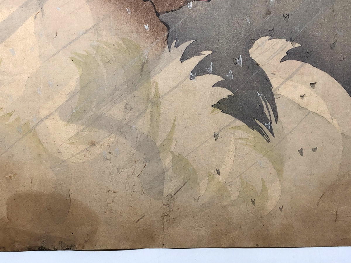 Image #14