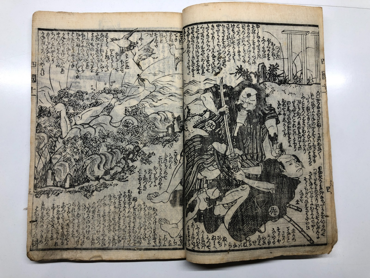 Image #11