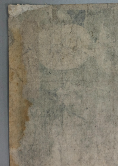 Image #9