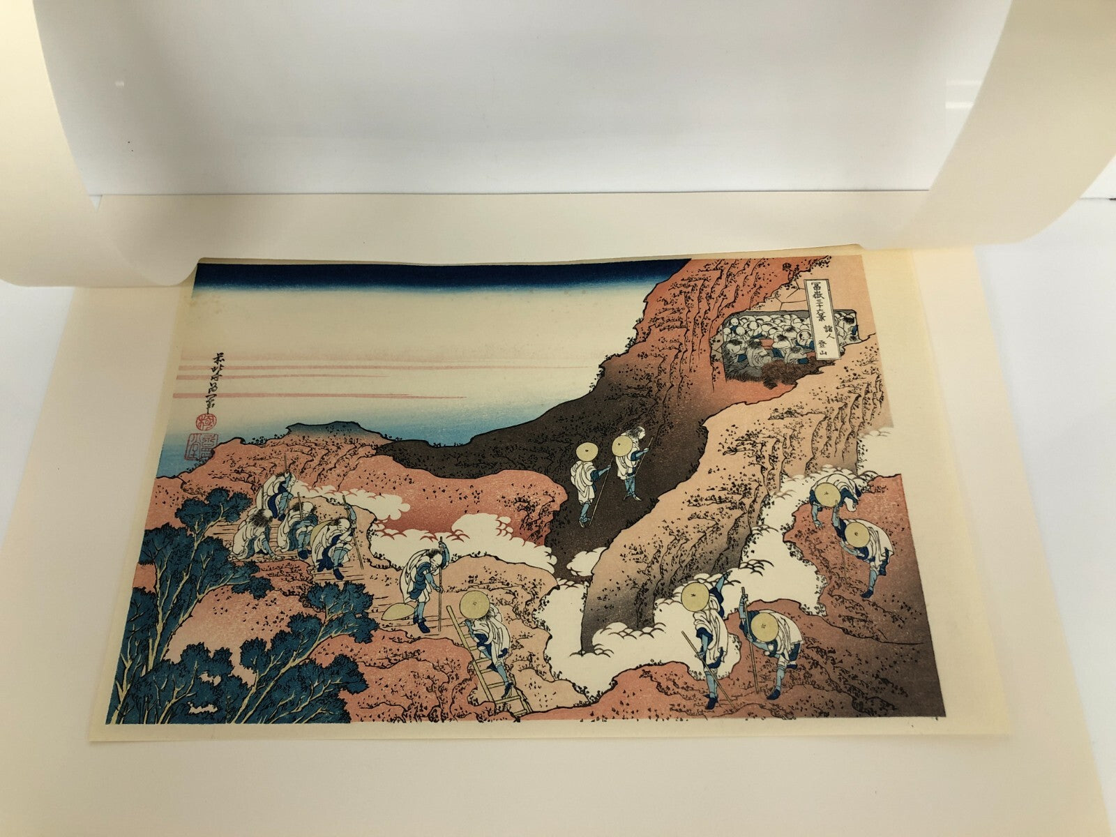 Image #2
