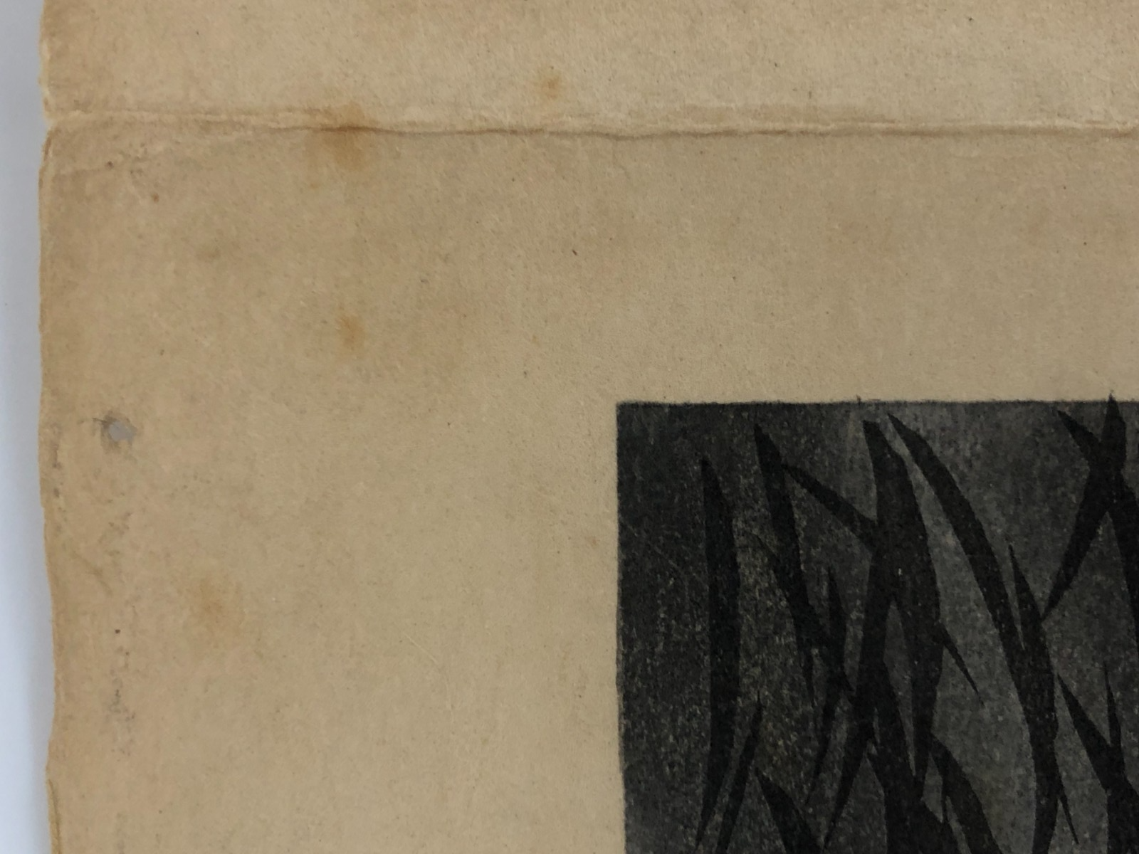 Image #12