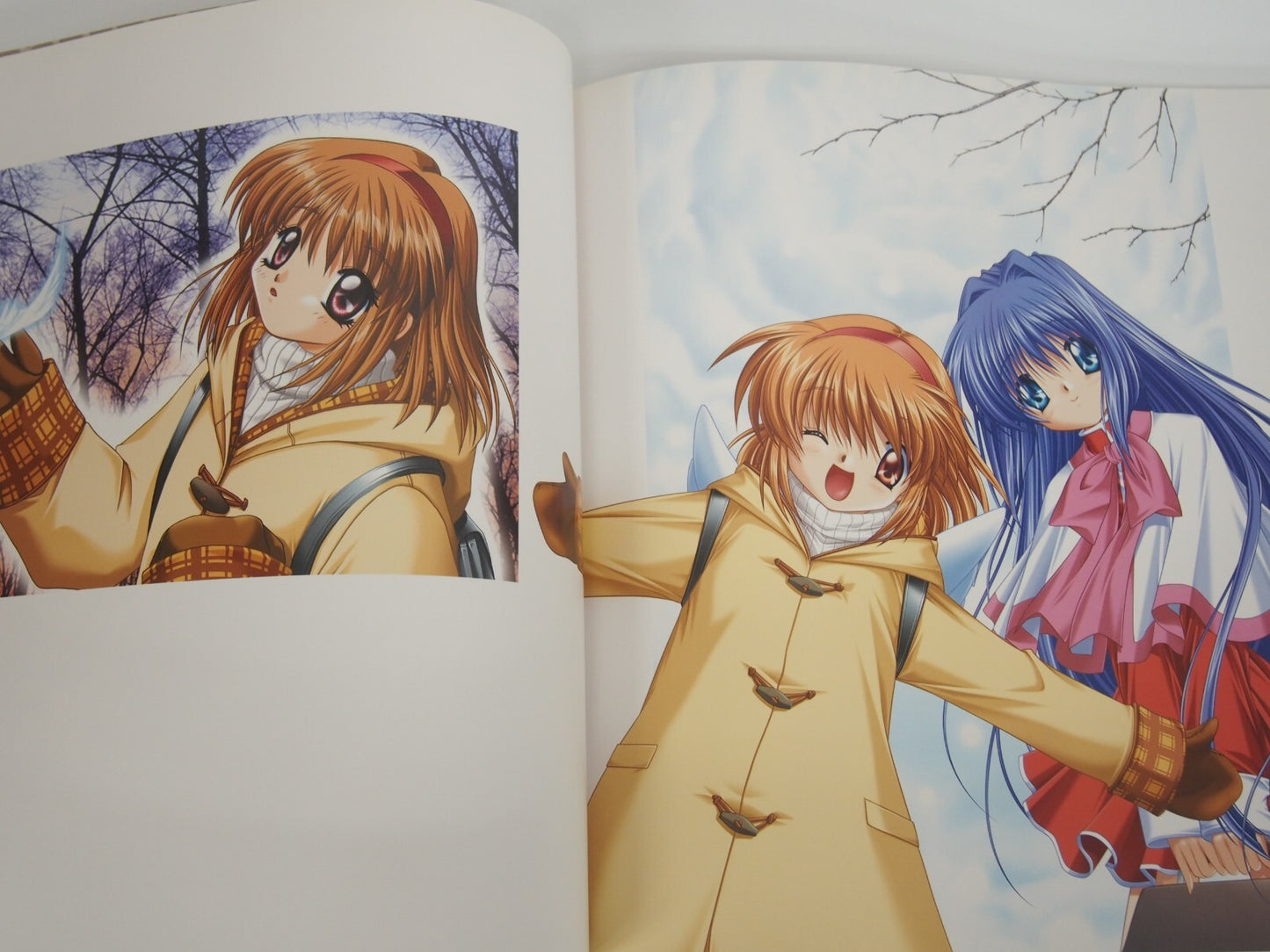 Image #5