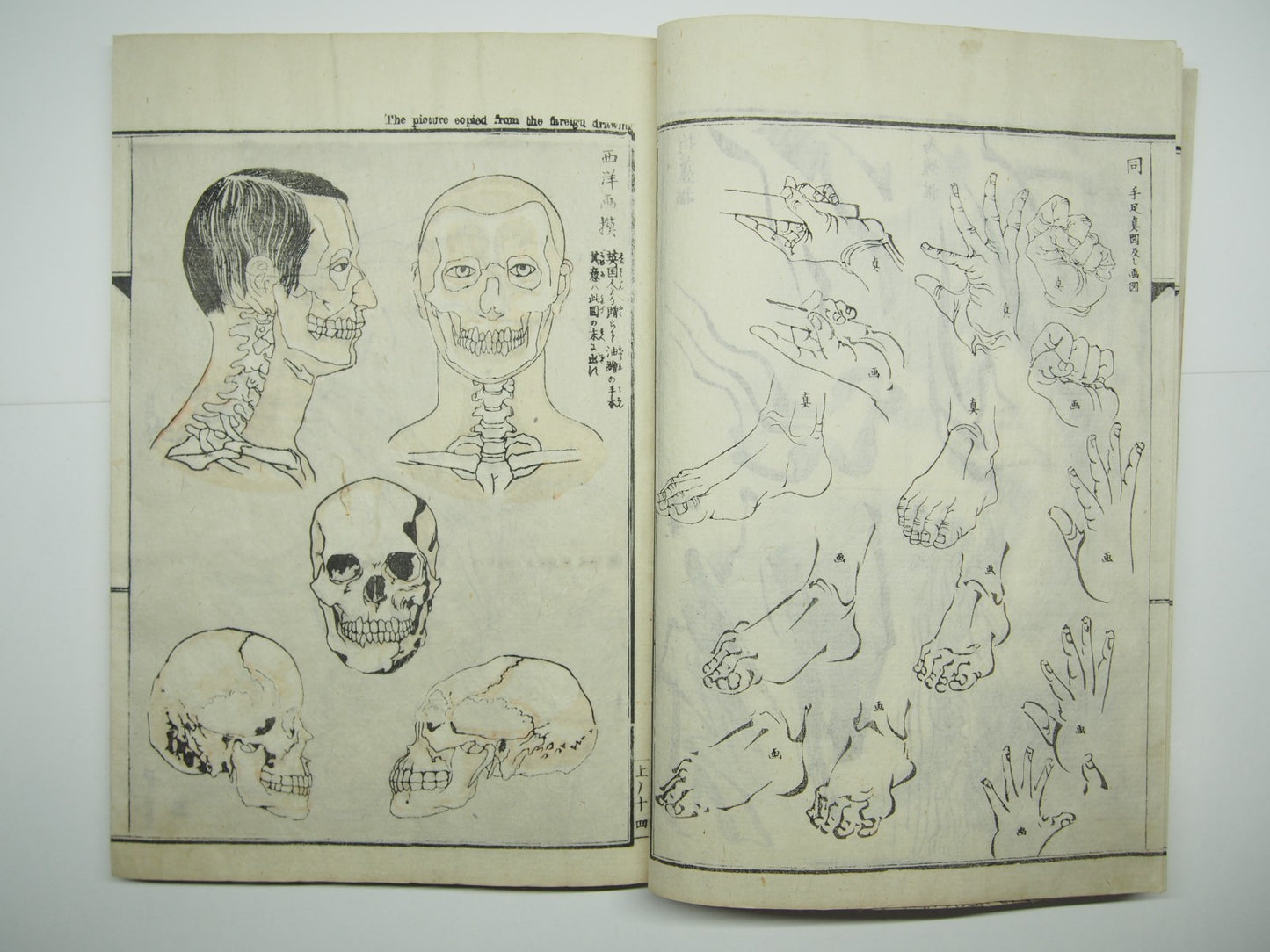 Image #14