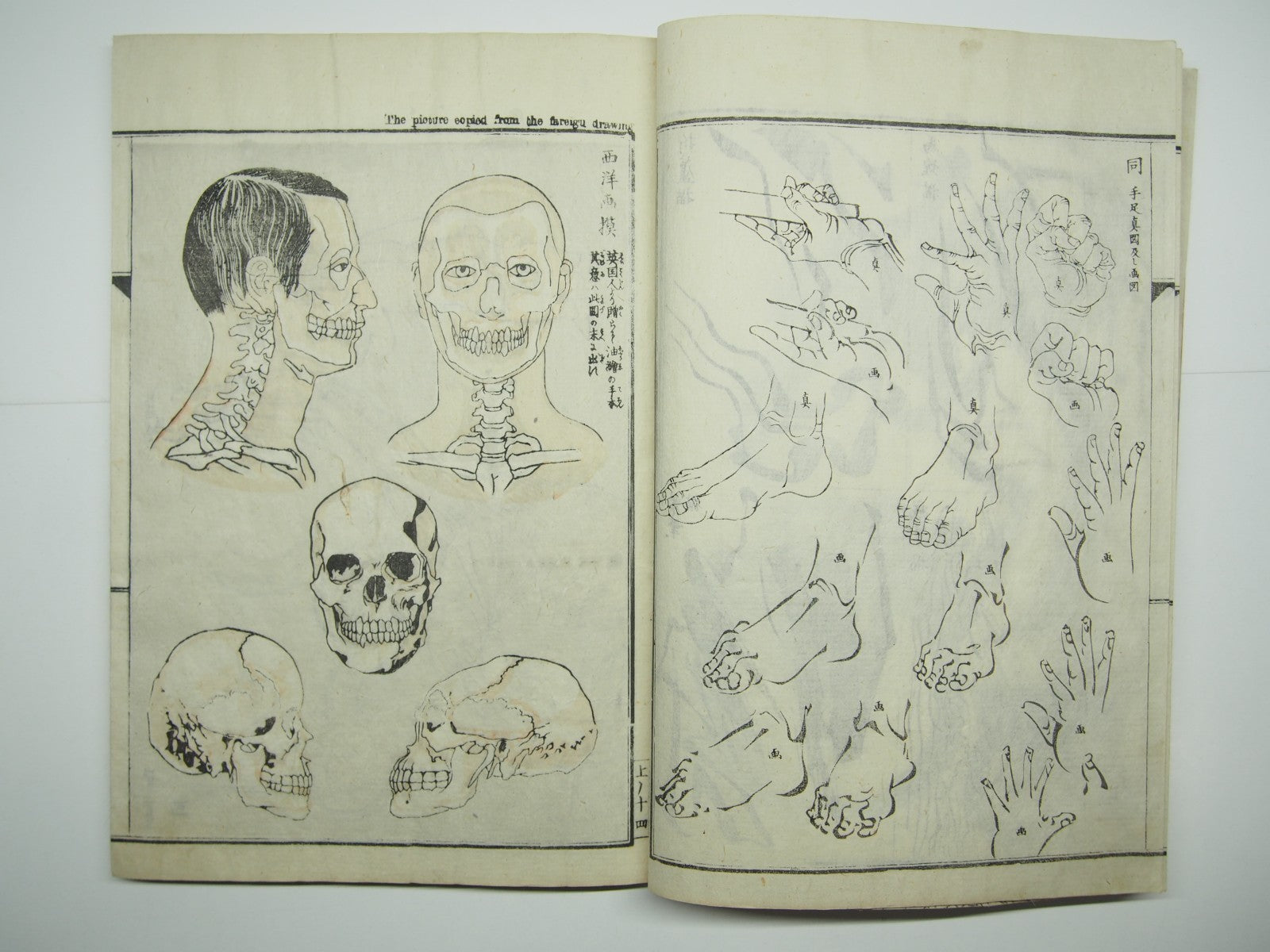 Image #14