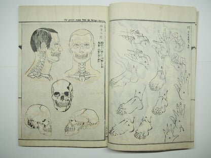 Image #14