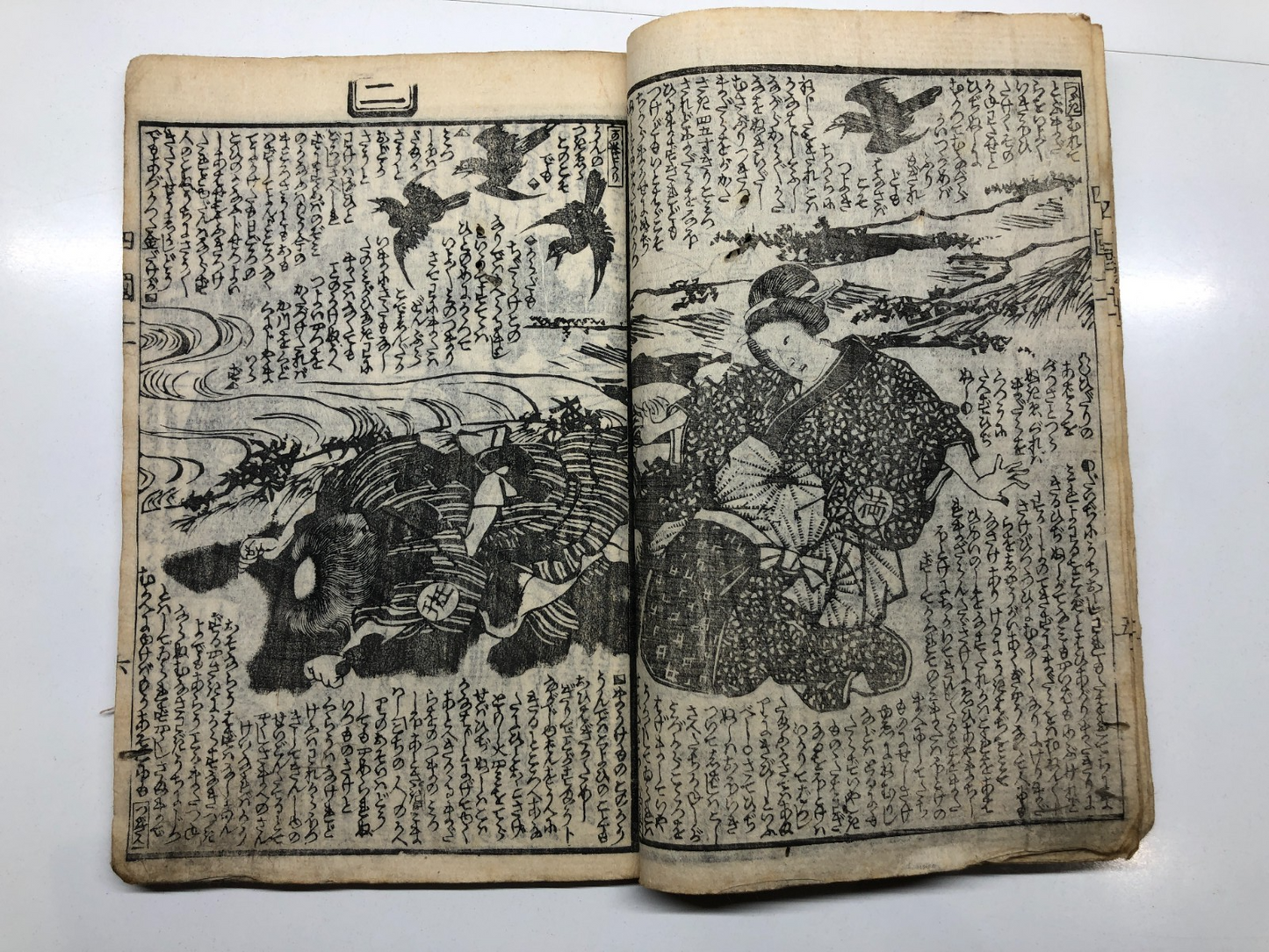 Image #12